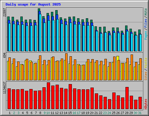 Daily usage for August 2025
