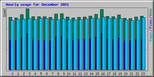 Hourly usage for December 2021