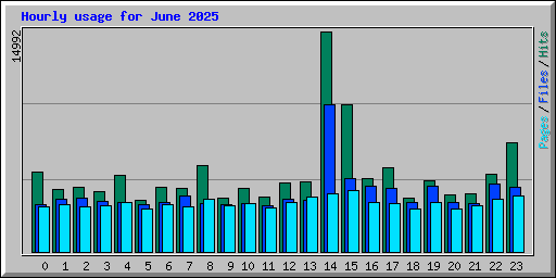 Hourly usage for June 2025