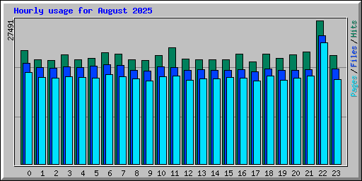 Hourly usage for August 2025