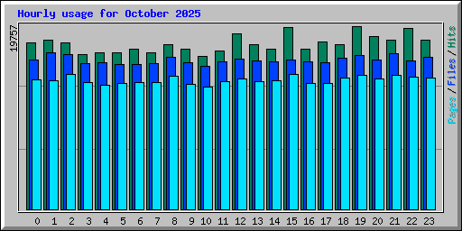 Hourly usage for October 2025