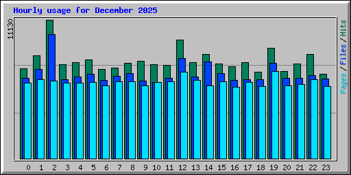 Hourly usage for December 2025