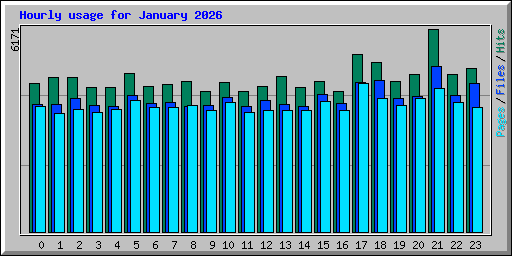 Hourly usage for January 2026