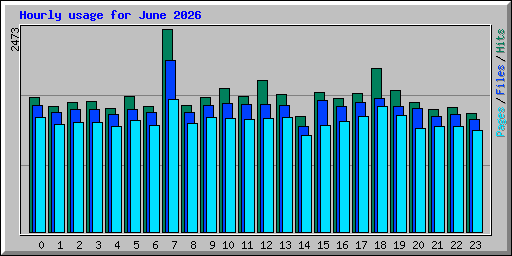 Hourly usage for June 2026
