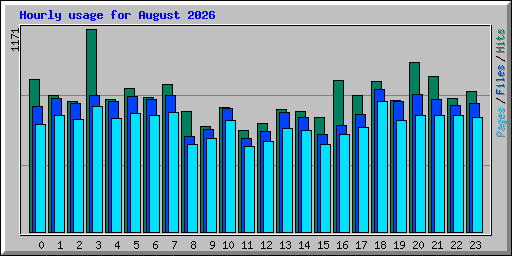 Hourly usage for August 2026